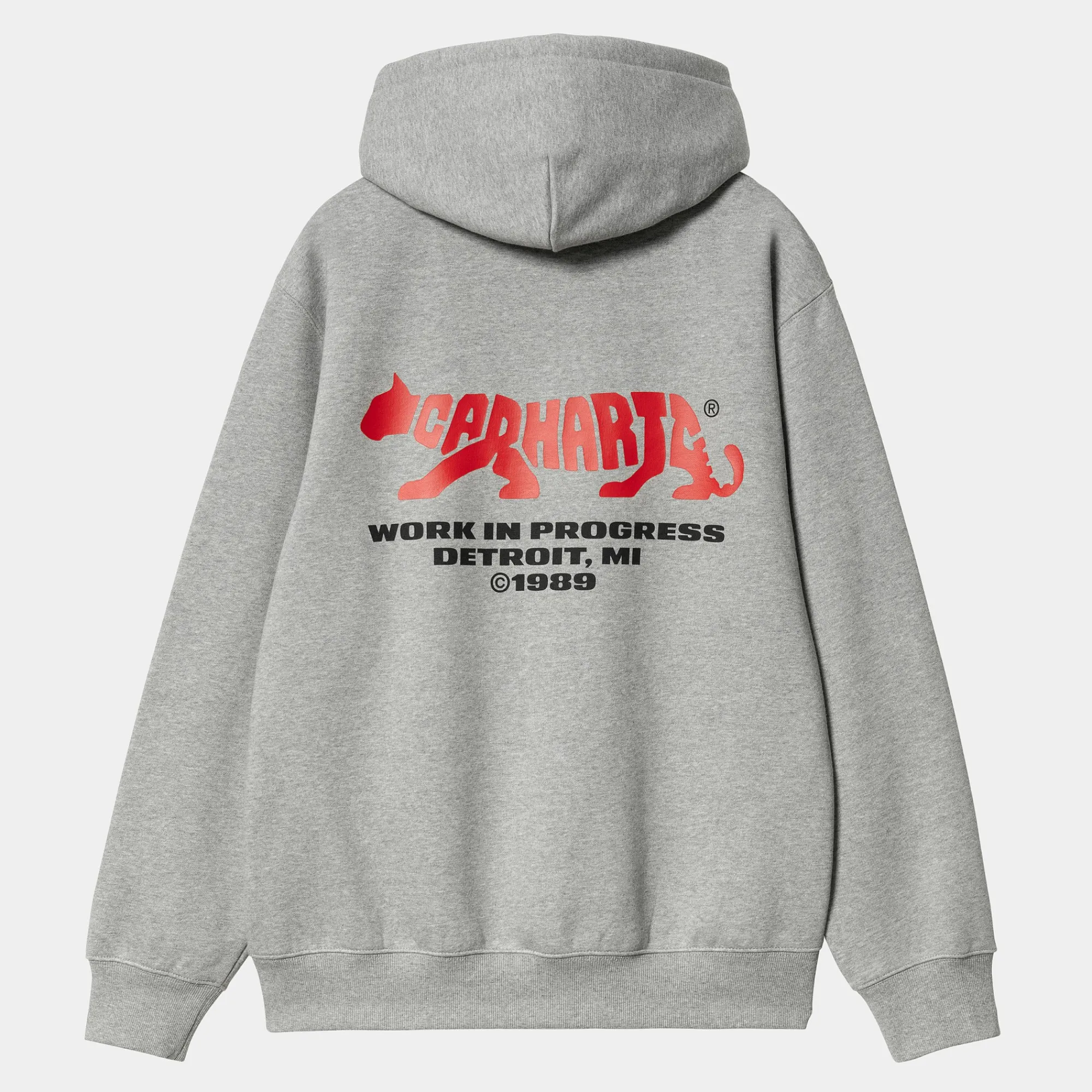 Carhartt WIP Sweats>Hooded Rocky Script Sweat