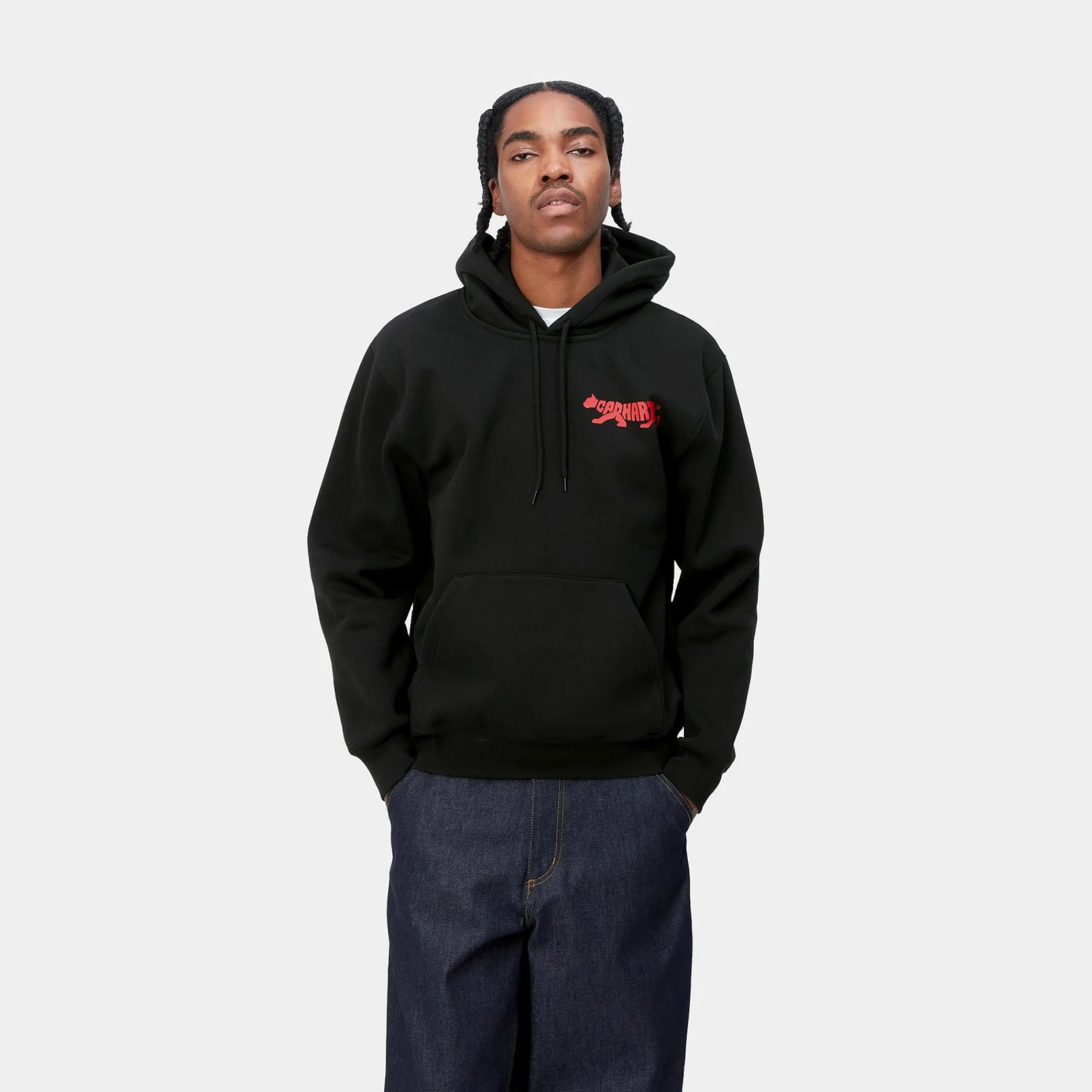 Carhartt WIP Sweats>Hooded Rocky Script Sweat