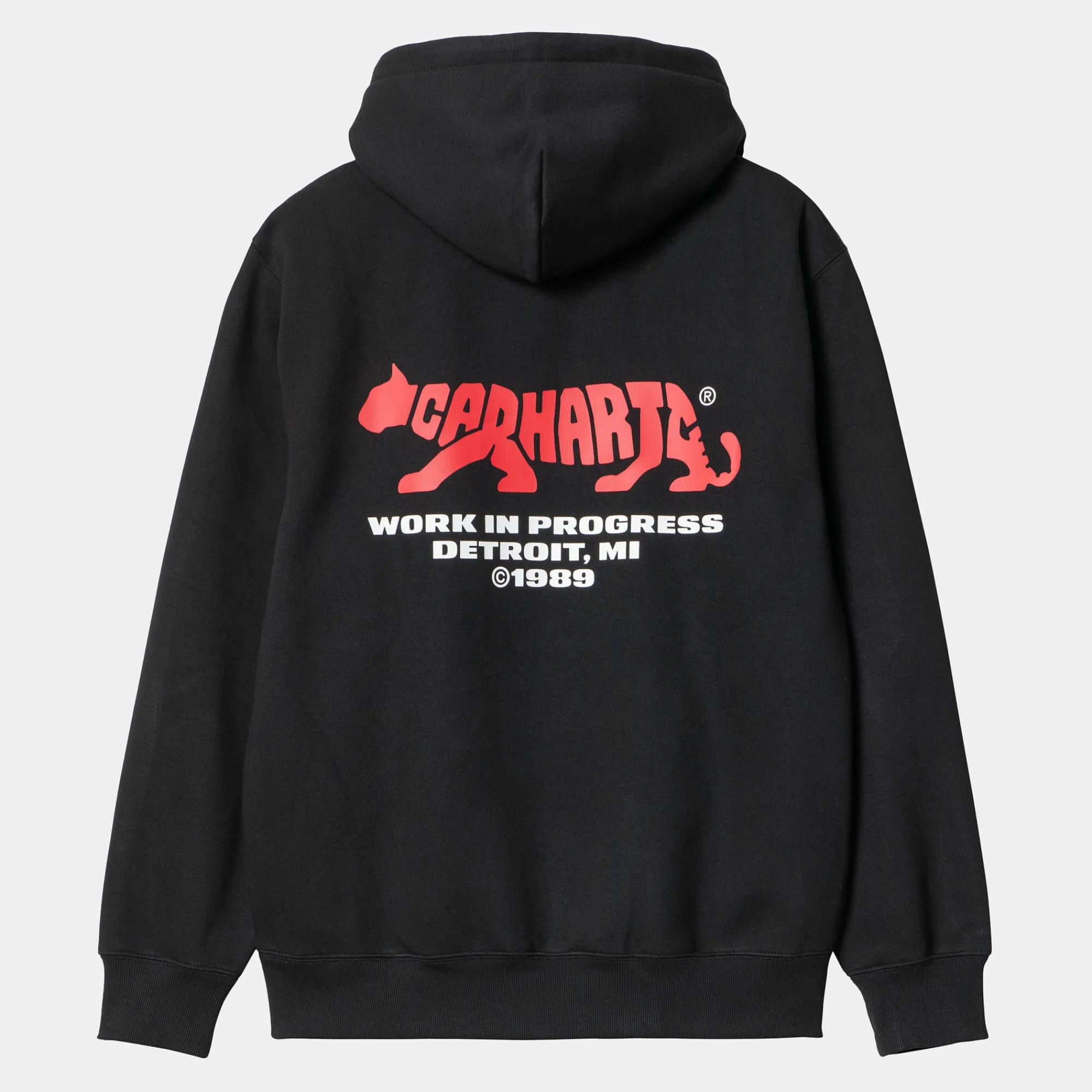 Carhartt WIP Sweats>Hooded Rocky Script Sweat